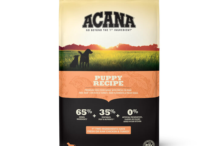 Puppy 11,35 Kg. Perro