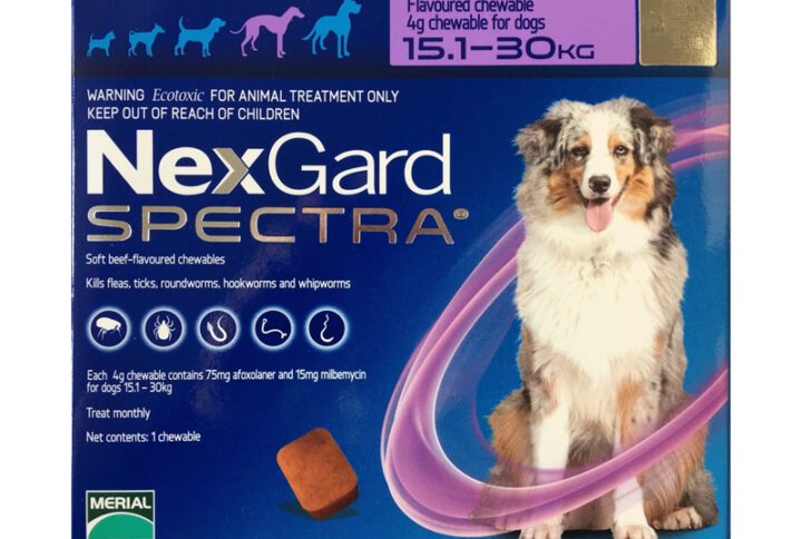 Nexgard Spectra (15-30 Kg)